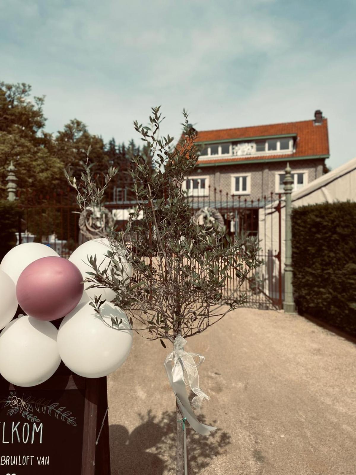 Guesthouse 'T Goed Leven Stokrooie Luaran gambar
